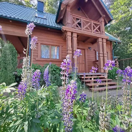 Chalet Przystanek Jezioro - Kaszuby *